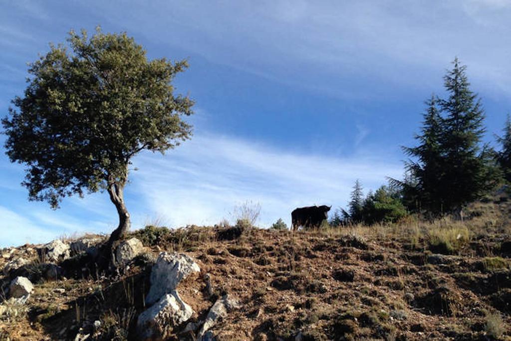 Telecabina las Catifas Güéjar Sierra Exterior foto
